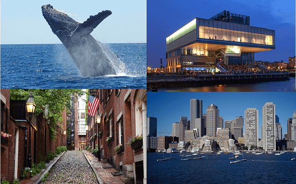 Inspiration of copywriting in Boston: Beacon HIll, Whale watch, Boston skyline, Institute of Contemporary art